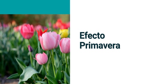 Material interactivo de ELE: Efecto primavera (A2)