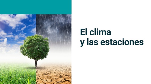 Material interactivo de ELE: El clima y las estaciones (A1, A2)