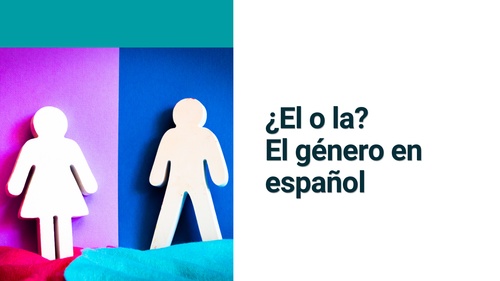 Material interactivo de ELE: ¿El o La? El género en español (A1)