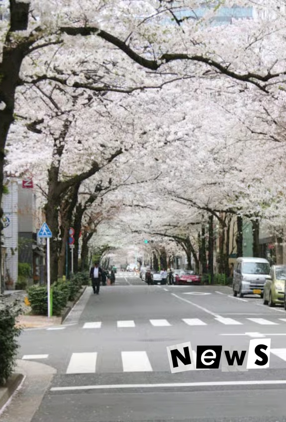 Material de ELE: Japón: pocos cestos de basura y calles impecables (B2)