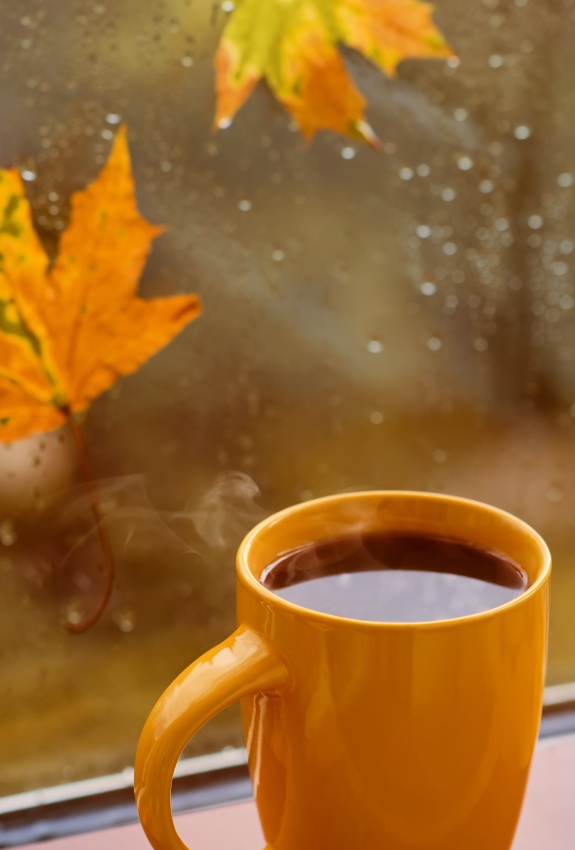 Material de ELE: Un debate con un café (B1, B2)